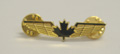 Wings Lapel Pin